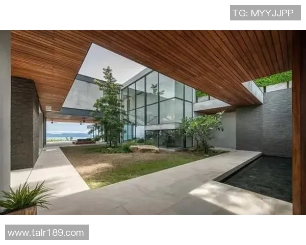 足球明星豪宅全景展示揭秘他们的奢华生活与独特品味 足球明星豪宅全景展示揭秘他们的奢华生活与独特品味